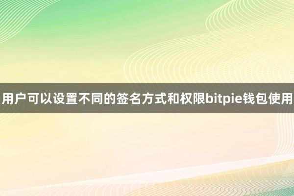 用户可以设置不同的签名方式和权限bitpie钱包使用