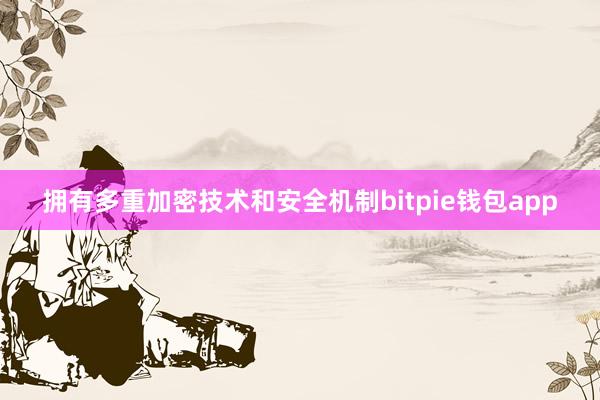 拥有多重加密技术和安全机制bitpie钱包app