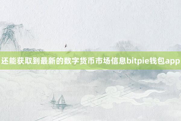 还能获取到最新的数字货币市场信息bitpie钱包app