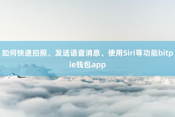 如何快速拍照、发送语音消息、使用Siri等功能bitpie钱包app