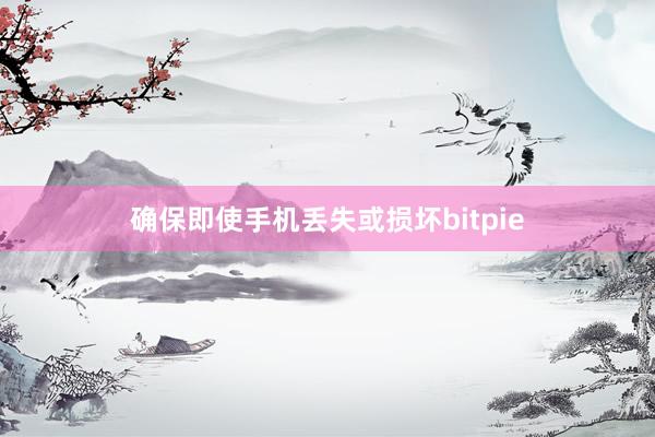 确保即使手机丢失或损坏bitpie