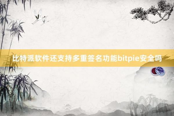 比特派软件还支持多重签名功能bitpie安全吗