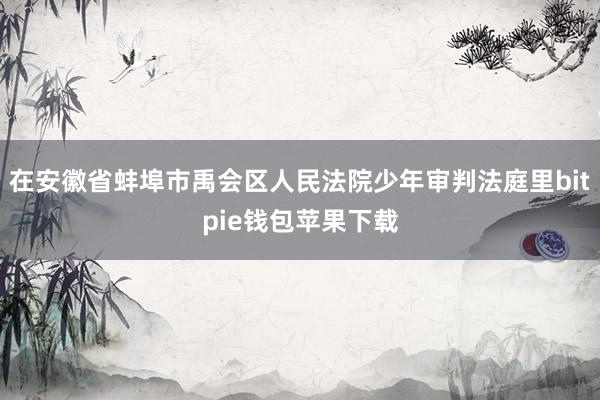 在安徽省蚌埠市禹会区人民法院少年审判法庭里bitpie钱包苹果下载