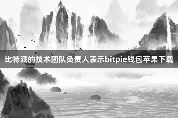 比特派的技术团队负责人表示bitpie钱包苹果下载