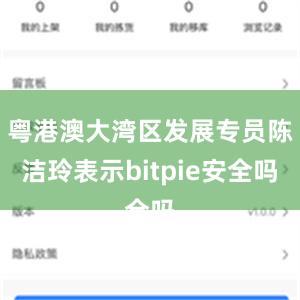 粤港澳大湾区发展专员陈洁玲表示bitpie安全吗