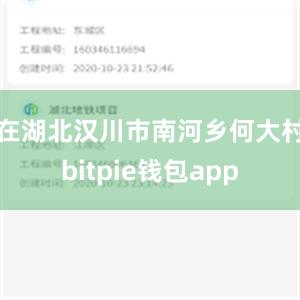 在湖北汉川市南河乡何大村bitpie钱包app