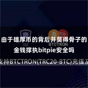 由于雄厚币的背后并莫得骨子的金钱撑执bitpie安全吗